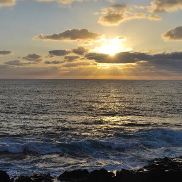 Meet your Posher, Stephy - Picture 1 of 1